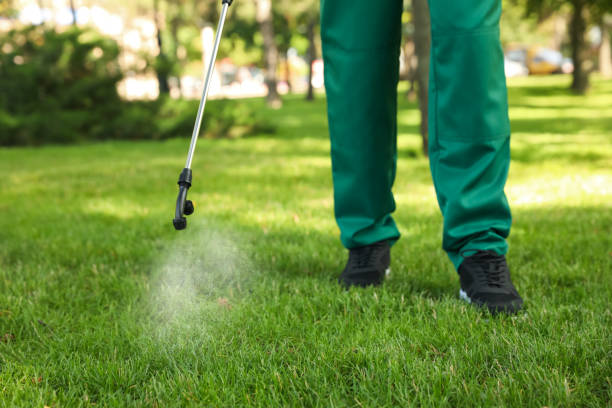 Best Pest Control Near Me in Manistique, MI
