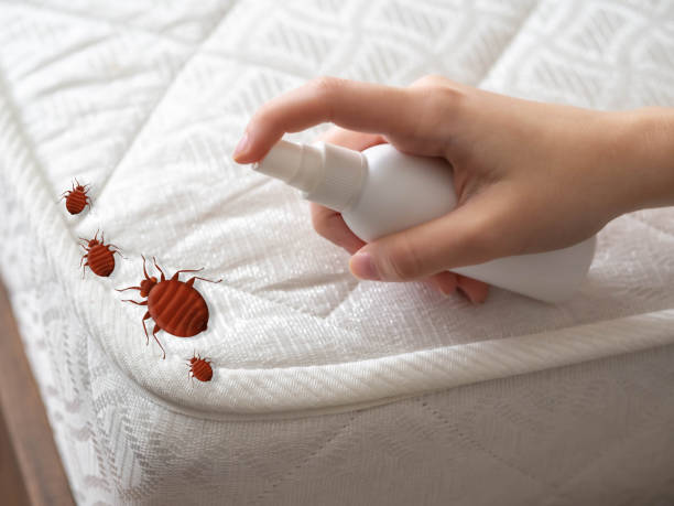 Best Pest Control for Homes  in Manistique, MI